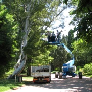 Tonte de pelouse pour un grand terrain à Eymet.
